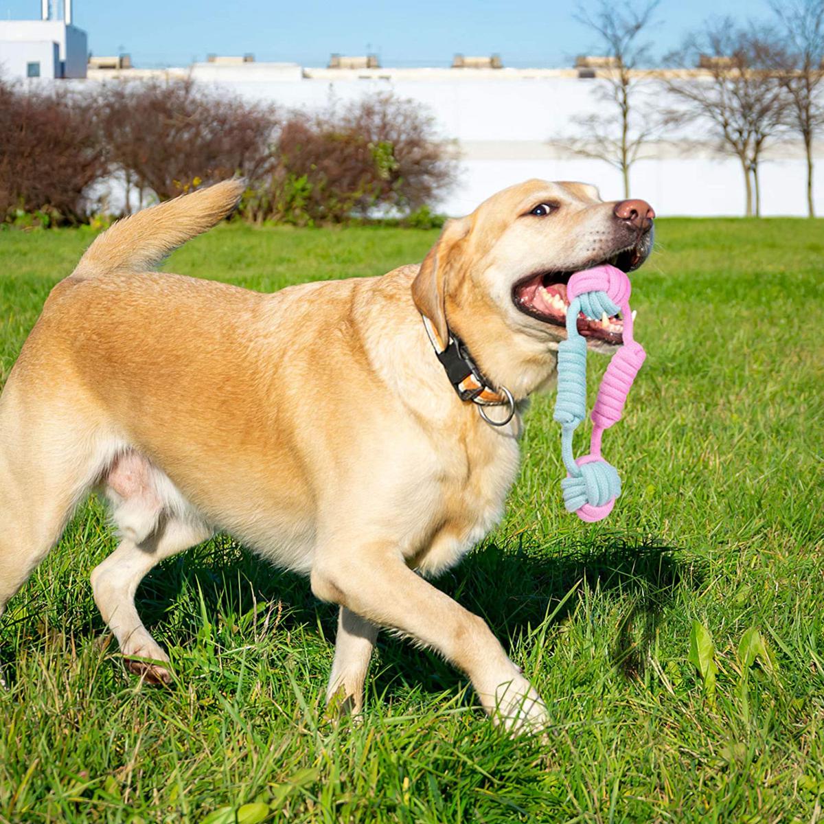 Denver Broncos Pet Tug Bone