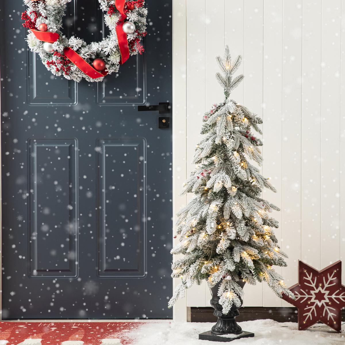 Plastic Tree door Adoreセット売り Amazon.co.jp: doorAdore (完全生産限定盤B[CD+DVD+フォトブック