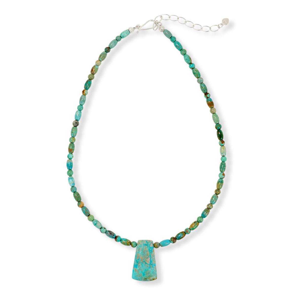 Jay King Spruce Mountain Turquoise Sterling Silver Drop Necklace | HSN
