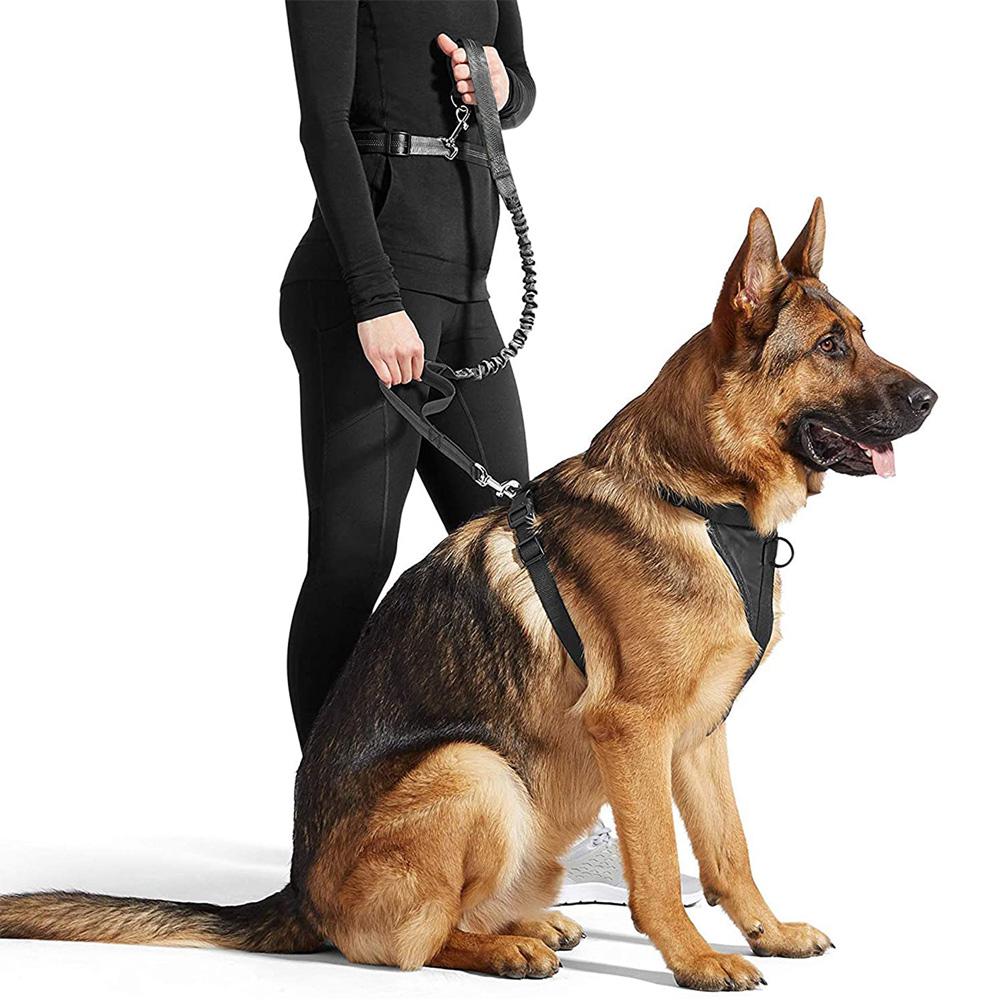 are bungee leashes suitable for german shepherd dog