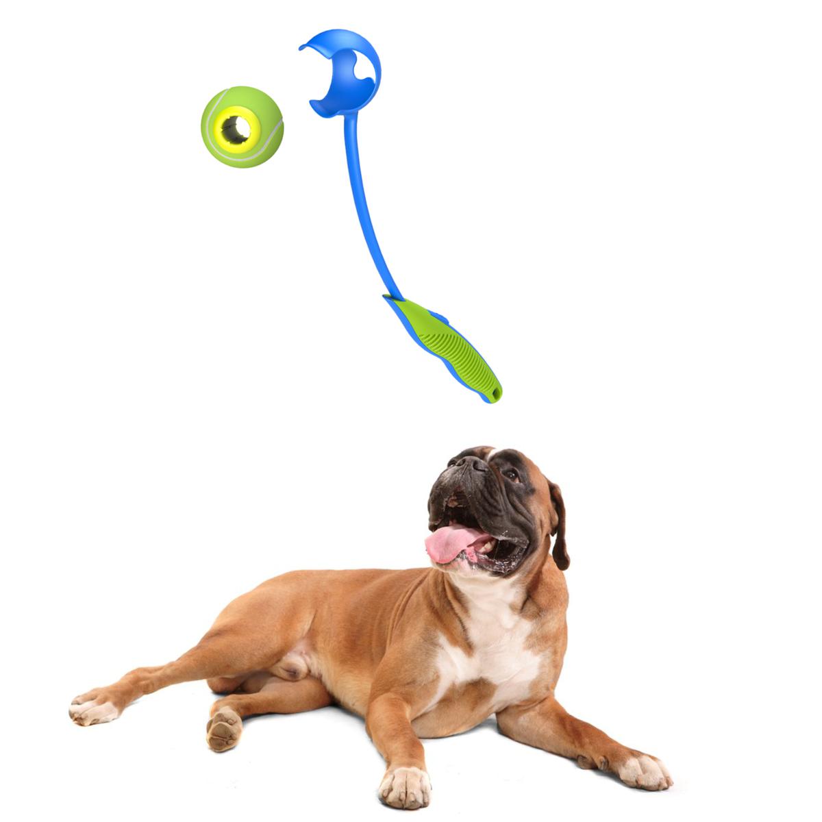 Protocol Dog Treat Launcher, Multicolor Reviews 2024