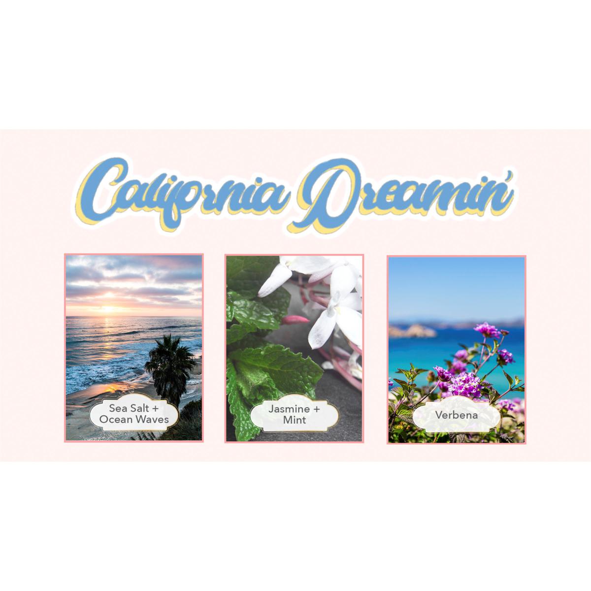 Nakery Beauty California Dreamin Skinrestore Body Hand Wash Hsn