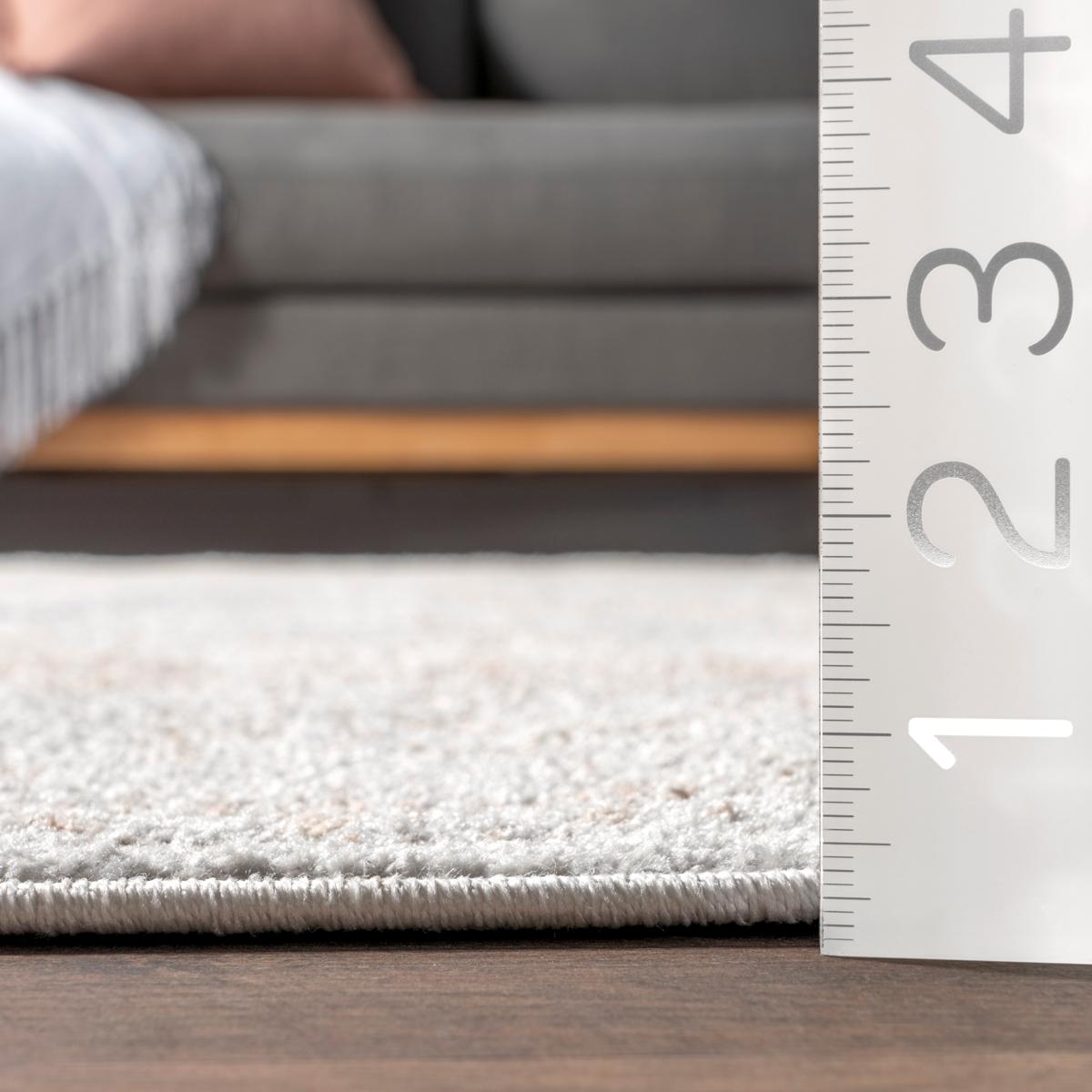 nuLOOM Jacquie Vintage Floral Area Rug - 4' x 6' Silver | HSN