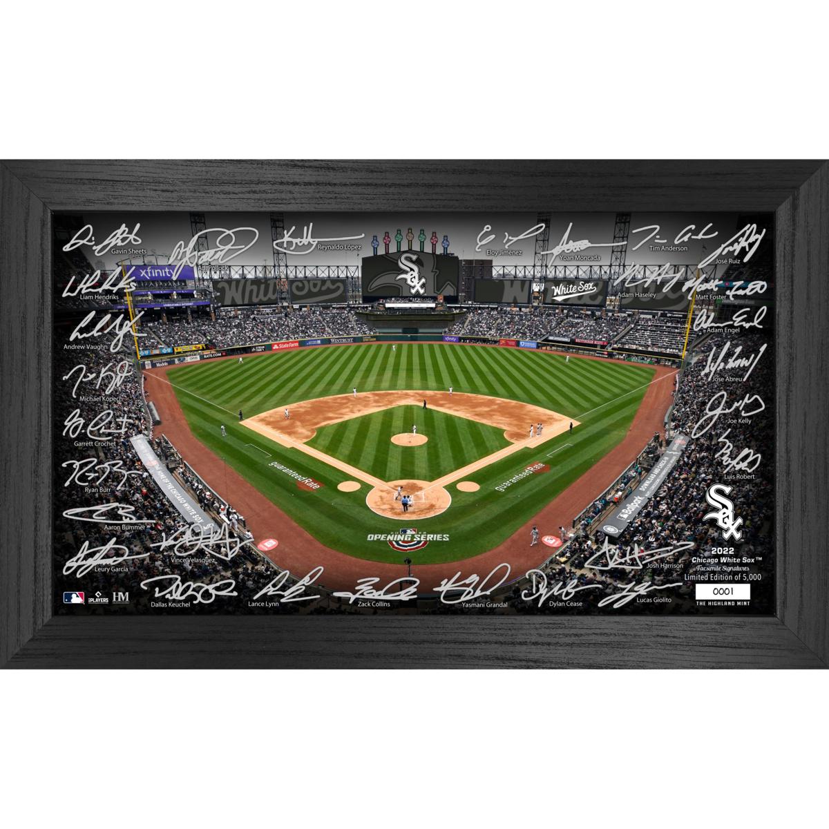 Officially Licensed MLB 2022 Signature Field Photo Frame - Cubs