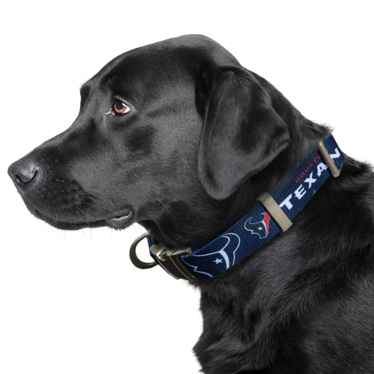 Houston Dog Collar 