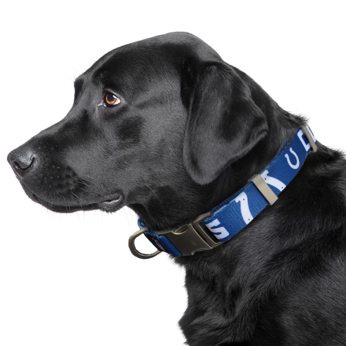 Colts dog outlet collar