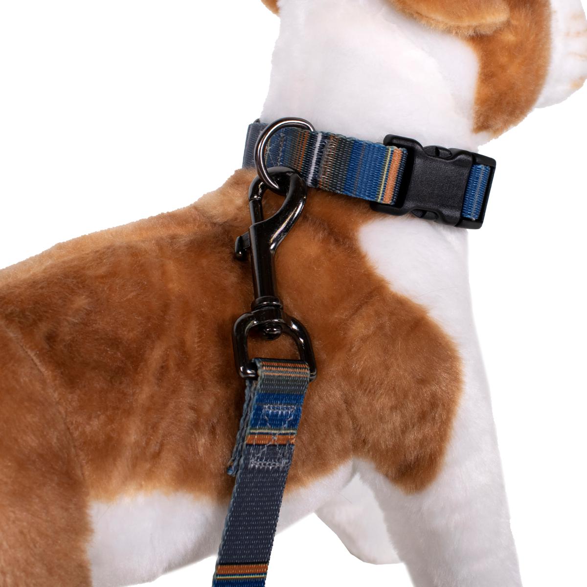 National park clearance dog collar