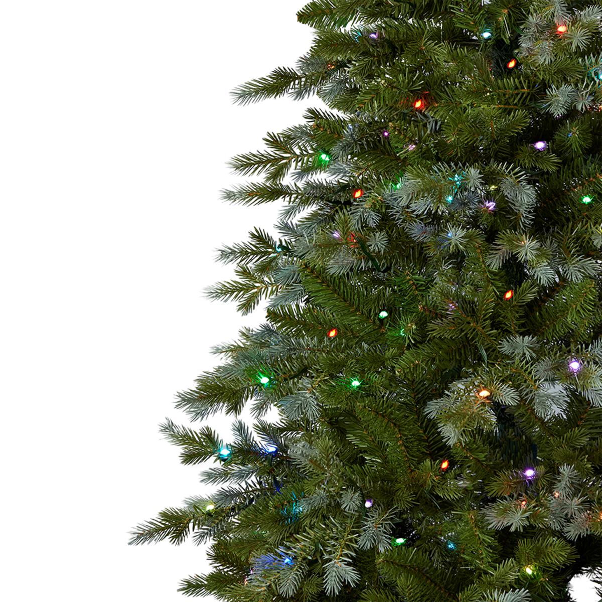 Seasonal LLC 6' Flocked Pre-Lit Bluffton Pine Christmas Tree