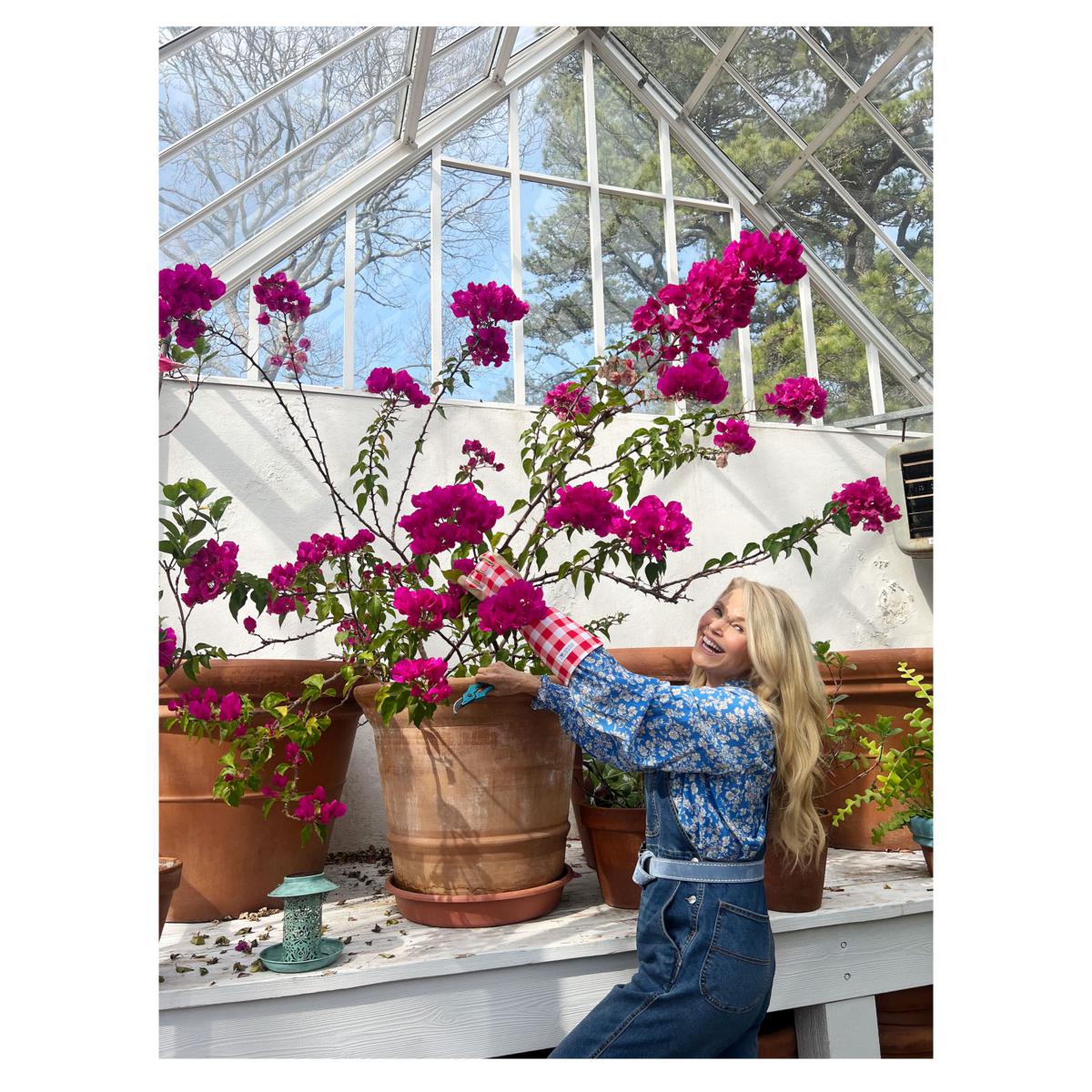Tower Hill by Christie Brinkley 3pc Garden Set- Gloves, Shears