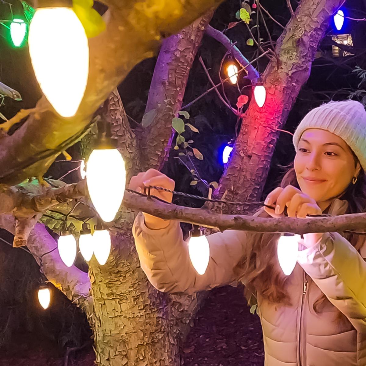 Winter Lane Oversized C9 20-Piece String Lights with Remote