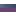 Blue/Purple