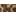 Leopard Shaft Iced Coffee