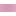 Pink/Purple