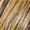 Brown Blonde