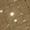 Dark Elm