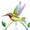 Hummingbird