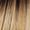 Light Blonde Rooted