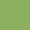 Piquant Green