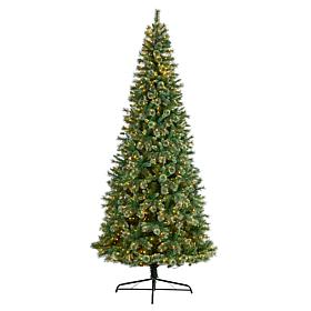 10’ Wisconsin Slim Snow Tip Pine  Christmas Tree
