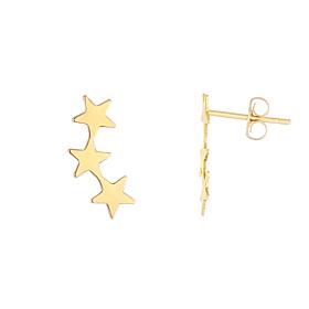 14K Yellow Gold Polished Star Climber Earrings with Clutch Backs