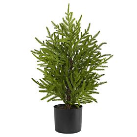 2 ft. Norfolk Island Pine Natural Look Artificial Tree in Decorativ...