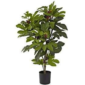 32 in. Fig Silk Tree