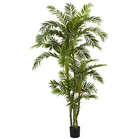 6 Ft. Curvy Parlor Palm Silk Tree