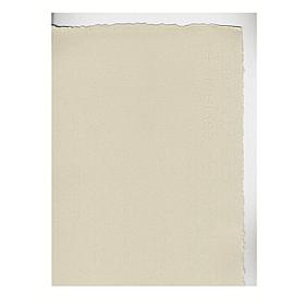 Arches Rives BFK Printmaking Paper 30" x 44" Sheet, Gray 280 gm