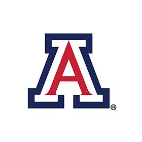 Arizona  Distressed Logo Cutout Sign