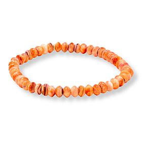 "As Is" Jay King Mexican Lion's Paw Shell Bead Stretch Bracelet