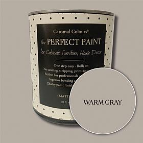 Caromal Colours Perfect Paint with Roller Set