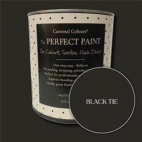 Caromal Colours Perfect Paint with Roller Set