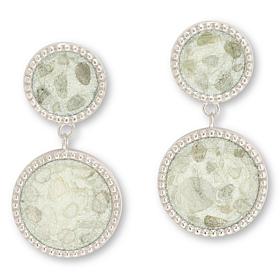 Colleen Lopez Sterling Silver Diamond Slice Drop Earrings