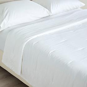 Concierge Collection Lyocell Silken Down Alternative Blanket Twin