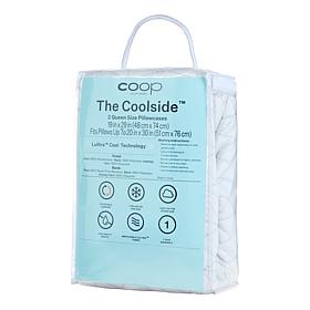 Coop Sleep Goods Coolside Cool-to-Touch Queen Pillowcase 2pk