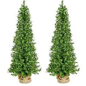 Fraser Hill Farm 3-Ft. Boxwood Porch Tree in Burlap Bag, Set of 2