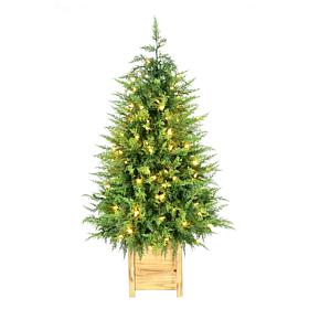Fraser Hill Farm 4-Ft. Real Feel Cedar Pre-Lit Potted Porch Tree wi...