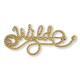 Heidi Daus Wild Crystal-Accented Lasso Pin