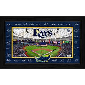 Highland Mint Tampa Bay Rays 2026 Signature Field Frame 