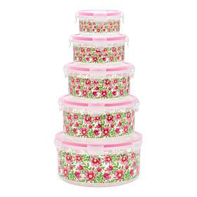 Improvements 5-piece Nesting Storage Bowls with Locking Lids