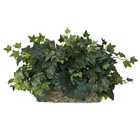 Ivy Set on Foam Sheet Silk Plant