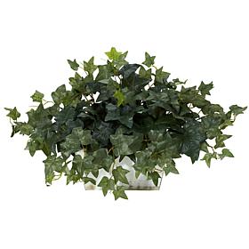 Ivy with White Wash Planter Silk Plant