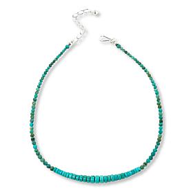 Jay King Chilean Turquoise Bead 18" Necklace