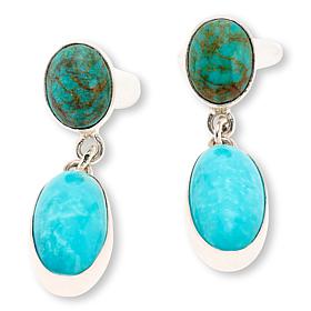 Jay King Sterling Silver Andean Blue Turquoise Oval Drop Earrings