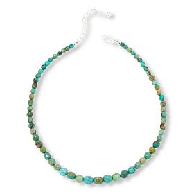 Jay King Sterling Silver Heavenly Well Lake Turquoise Bead Necklace