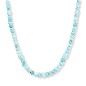 Jay King Sterling Silver Larimar Bead Necklace