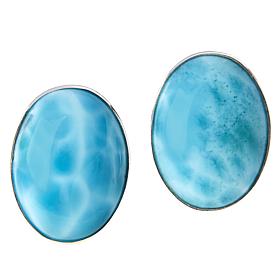 Jay King Sterling Silver Larimar Oval Earrings