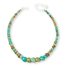 Jay King Sterling Silver Sacred Cloud Mtn. Turquoise 18" Necklace