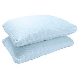 Joy CleanBoss 5-Star Hotel Memory Cloud Set of 2 Pillows