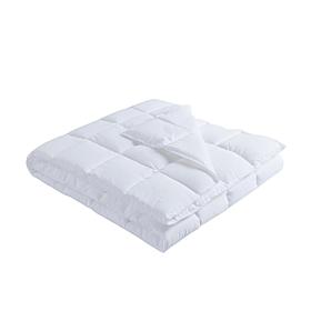 Lotus Home Stain Resistant Bacteria Inhibiting Throw, 50" x 70"